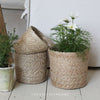 Kington Pot with Liner - Two Sizes