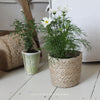 Kington Pot with Liner - Various Sizes