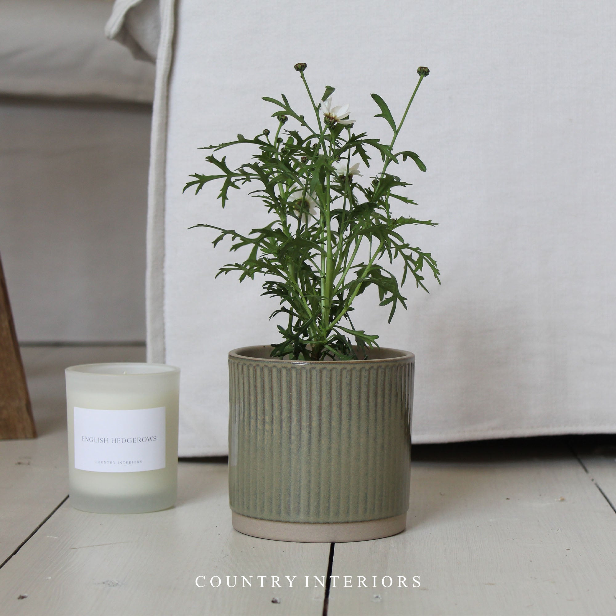 Two Tone Green Ceramic Plant Pot