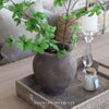 Leaf Branch - 115cm
