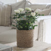Kington Pot with Liner - Two Sizes