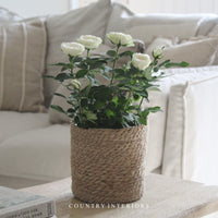 Kington Pot with Liner - Two Sizes