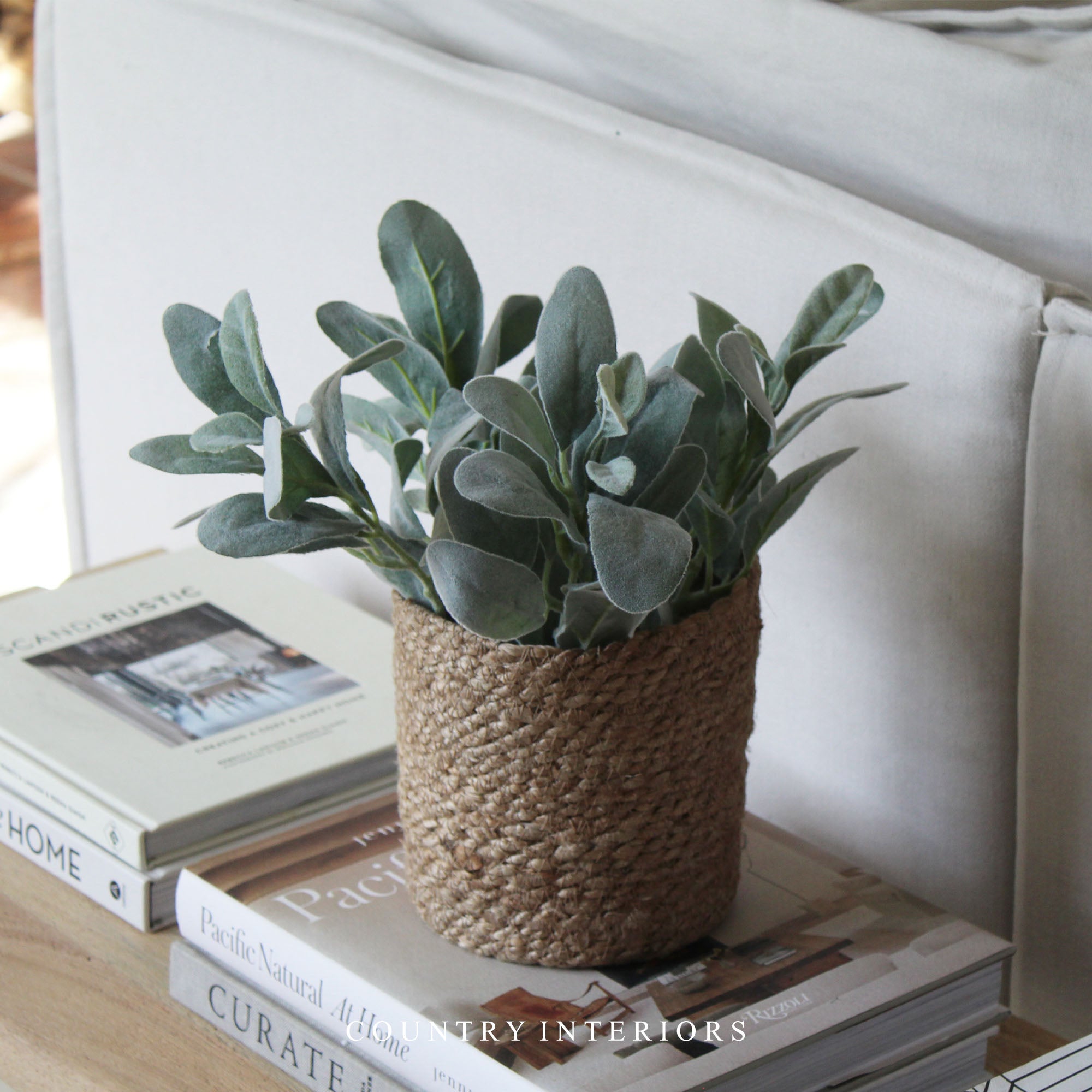 faux lambs ear potted plant Faux Lambs Ear Spray
