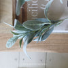 Faux Lambs Ear Spray - 35cm