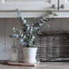 Faux Eucalyptus Plant in Soil