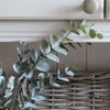 Faux Eucalyptus Plant in Soil