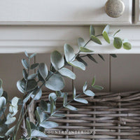 Faux Eucalyptus Plant in Soil