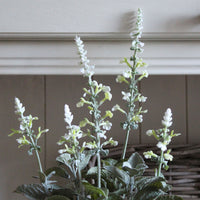Faux Potted Salvia Plant