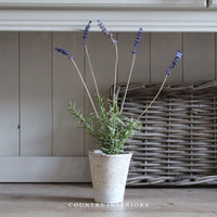 Faux Lavender with Soil Base - 42cm
