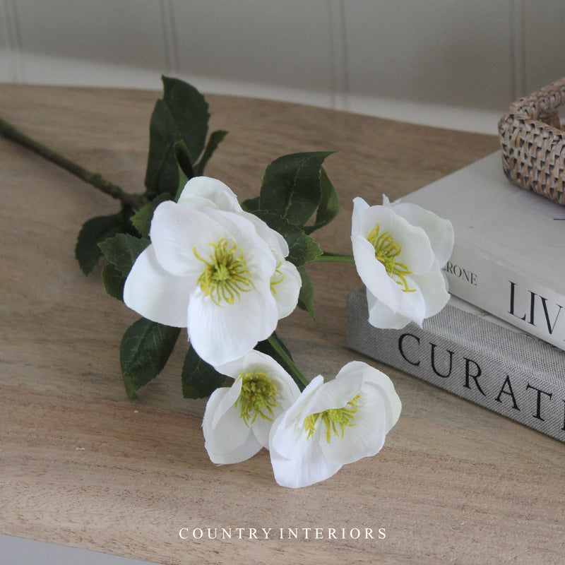 Faux Hellebore Spray in White - 62cm