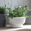 Charlbury Terracotta Plant Pot
