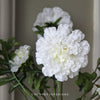 White Marigold Flower Spray - 62cm