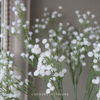 White Gypsophila Spray - 60cm