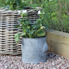 Kew Zinc Plant Pot - Round