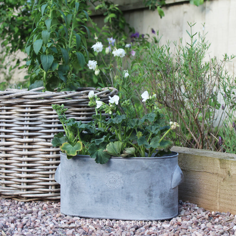 zinc metal plant pots Kew Zinc Plant Pot