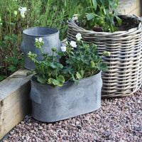Kew Zinc Plant Pot - Oval