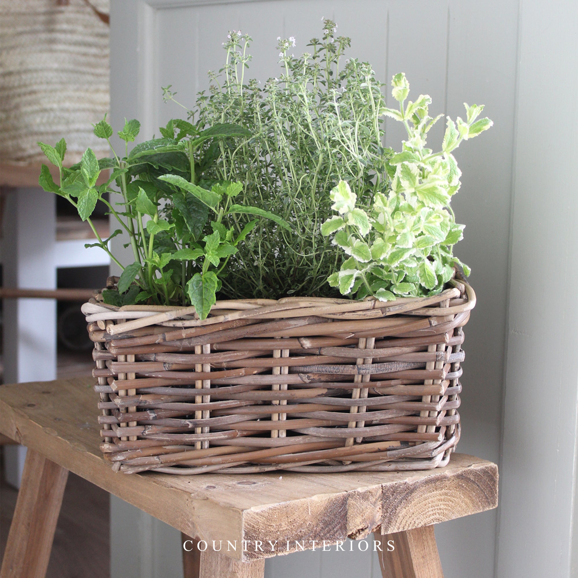 Rectangular Rattan Planter