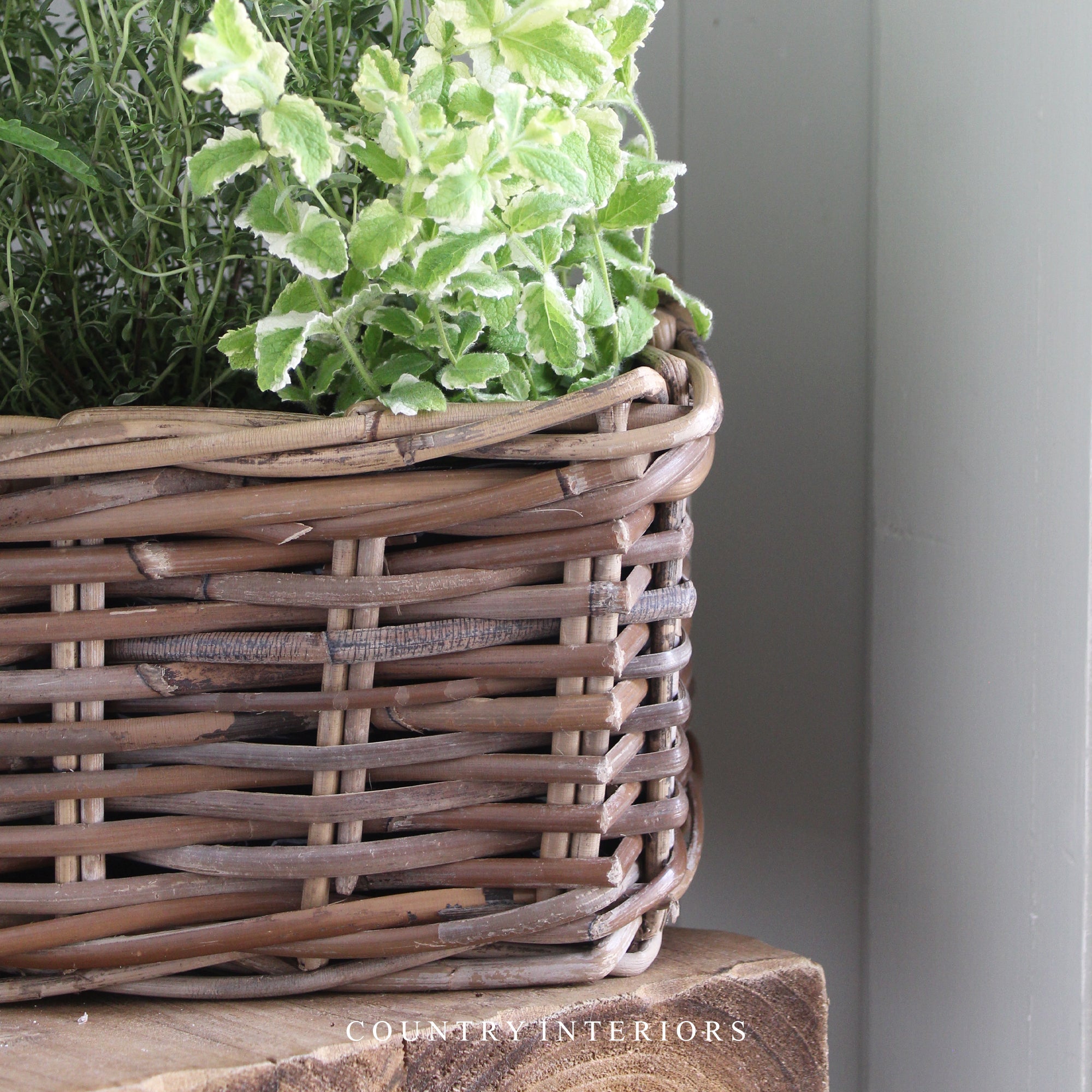 Rectangular Rattan Planter