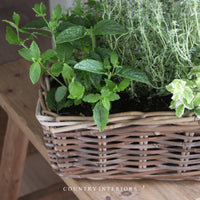 Rectangular Rattan Planter