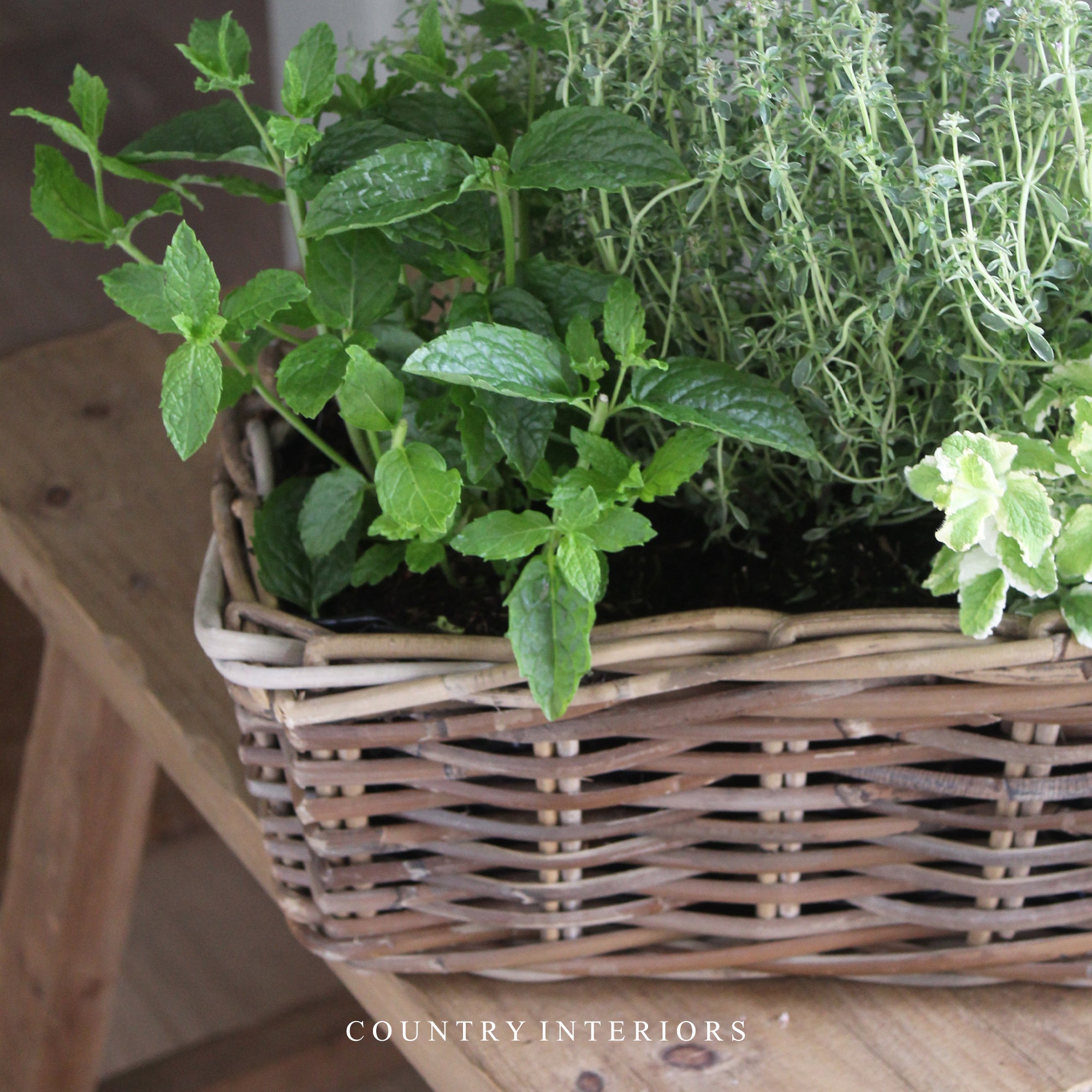 Rectangular Rattan Planter