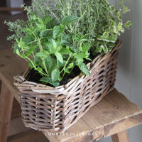 Rectangular Rattan Planter