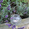 Glass Tealight Holder with Wire Hanger