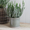Two Tone Green Ceramic Plant Pot