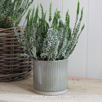Two Tone Green Ceramic Plant Pot