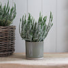 Two Tone Green Ceramic Plant Pot