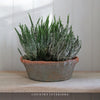 Large Terracotta Bowl with Frill Trim