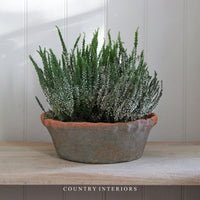 Large Terracotta Bowl with Frill Trim