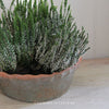 Large Terracotta Bowl with Frill Trim