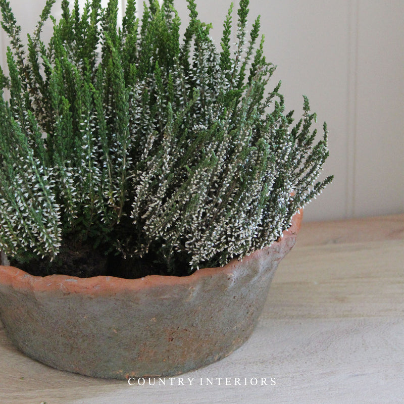 Large Terracotta Bowl with Frill Trim