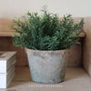 Burford Redstone Pot - Various Sizes