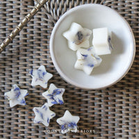 Winter Woods Wax Melts - 8 Pack