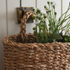 Hanging Seagrass Baskets - Two Sizes