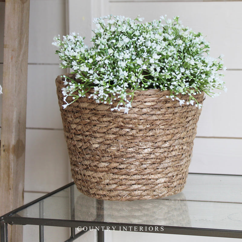 Round Lidded Basket