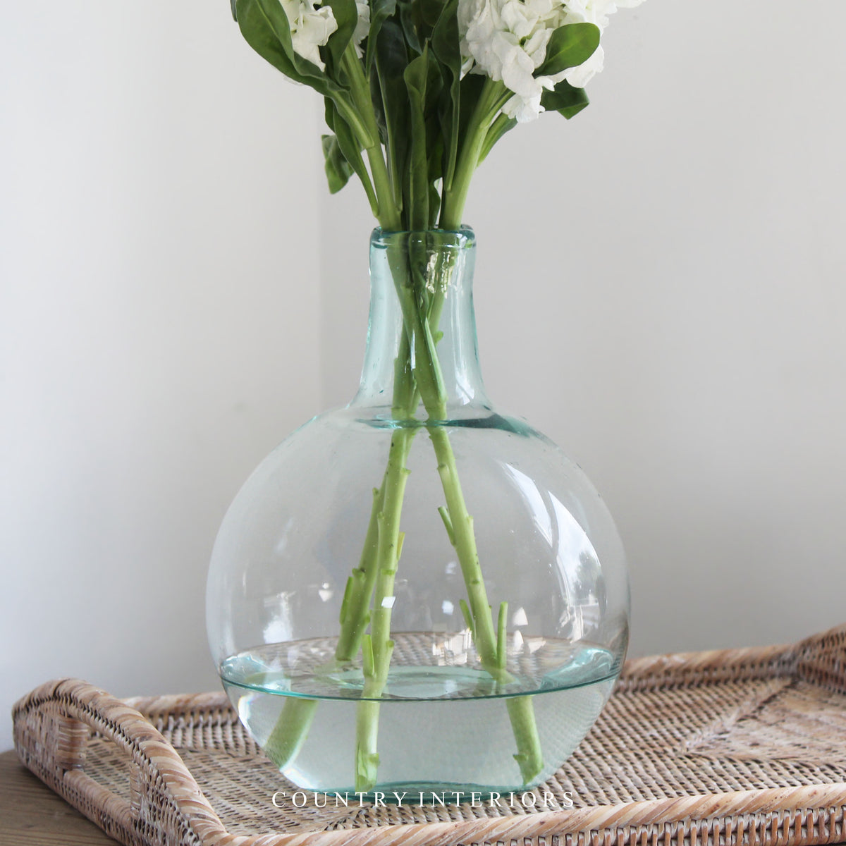 Botanical Glass Vase - 22cm