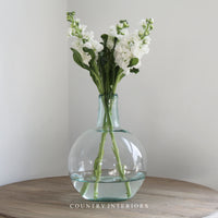 Botanical Glass Vase - 22cm