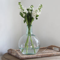 Botanical Glass Vase - 22cm