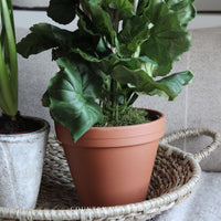 Faux White Geranium in Terracotta Pot - 45cm