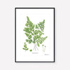 Fern Botanical Print - A4
