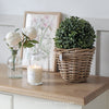 Faux Boxwood Ball - 17cm