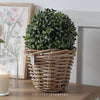 Faux Boxwood Ball - 17cm