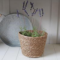 Round Lidded Basket