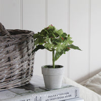 Mini Faux Potted Hydrangea - Green