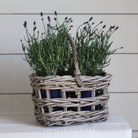 Open Weave Bottle Carrier / Planter