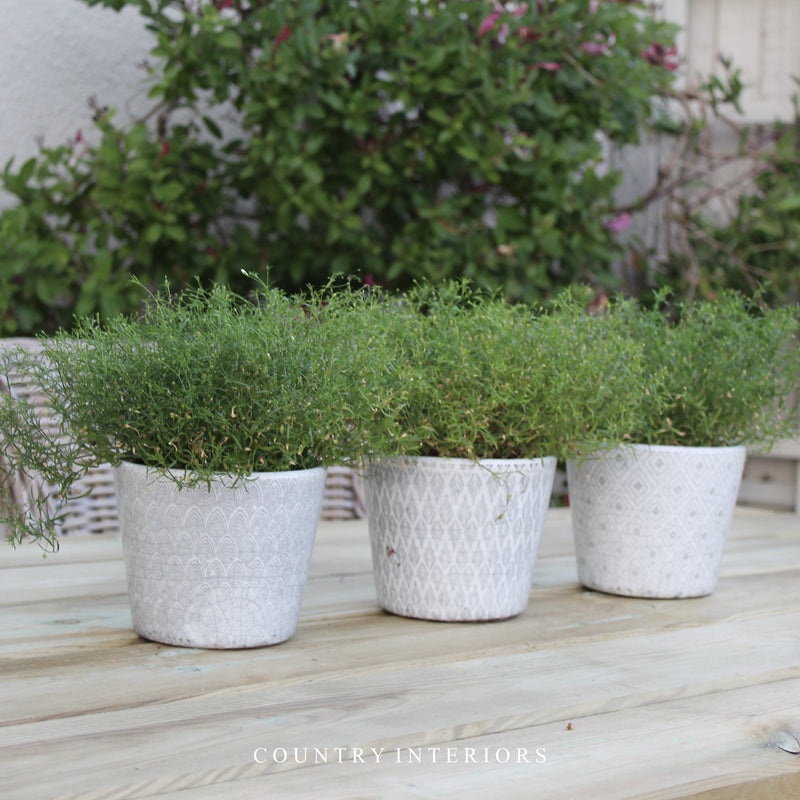Set of Three Ceramic Plant Pots - Faded Grey