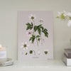 Anemone Botanical Floral Print - A4