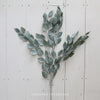 Dusty Green Eucalyptus Spray - 75cm